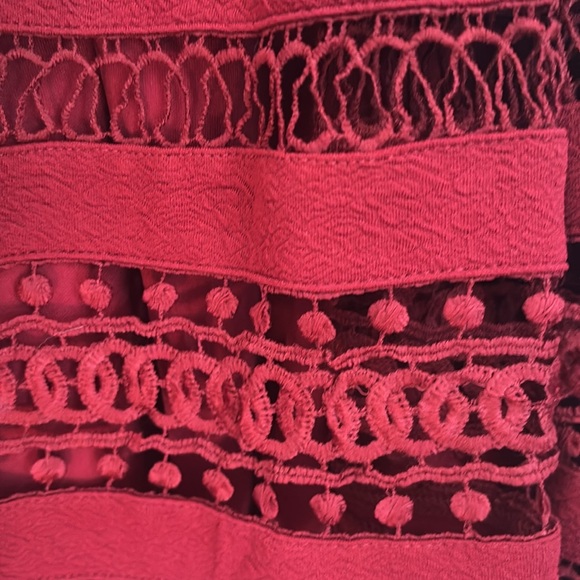 Francesa’s Burgundy Dress - Picture 5 of 8